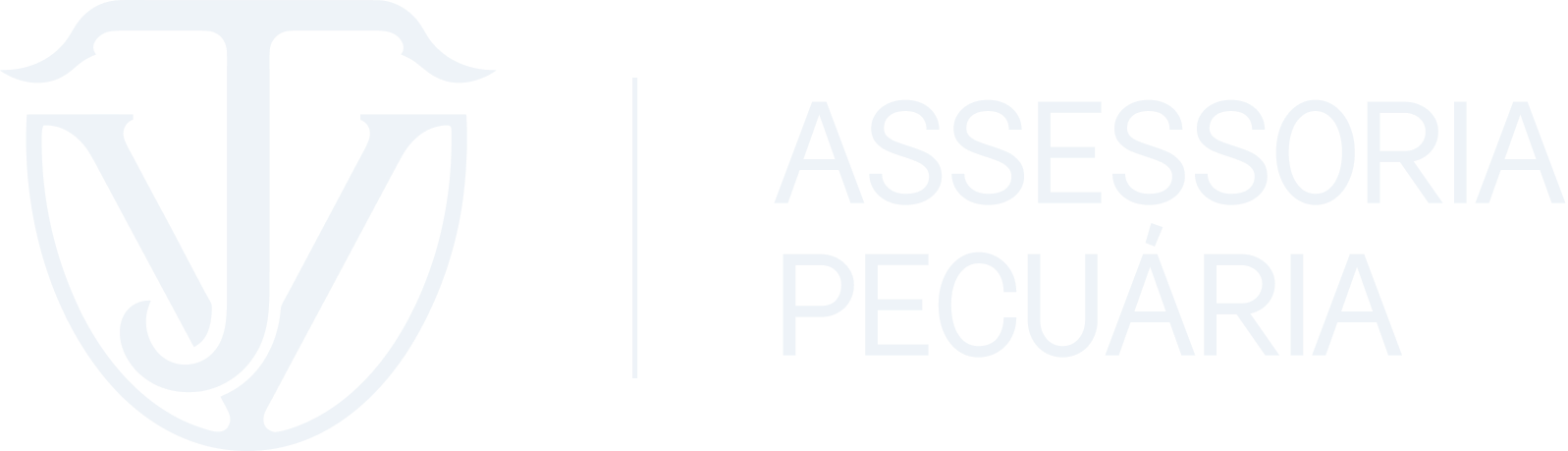 JV Assessoria Pecuária